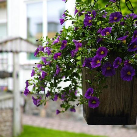 Apartamento Adomo Rojus Palanga Exterior foto