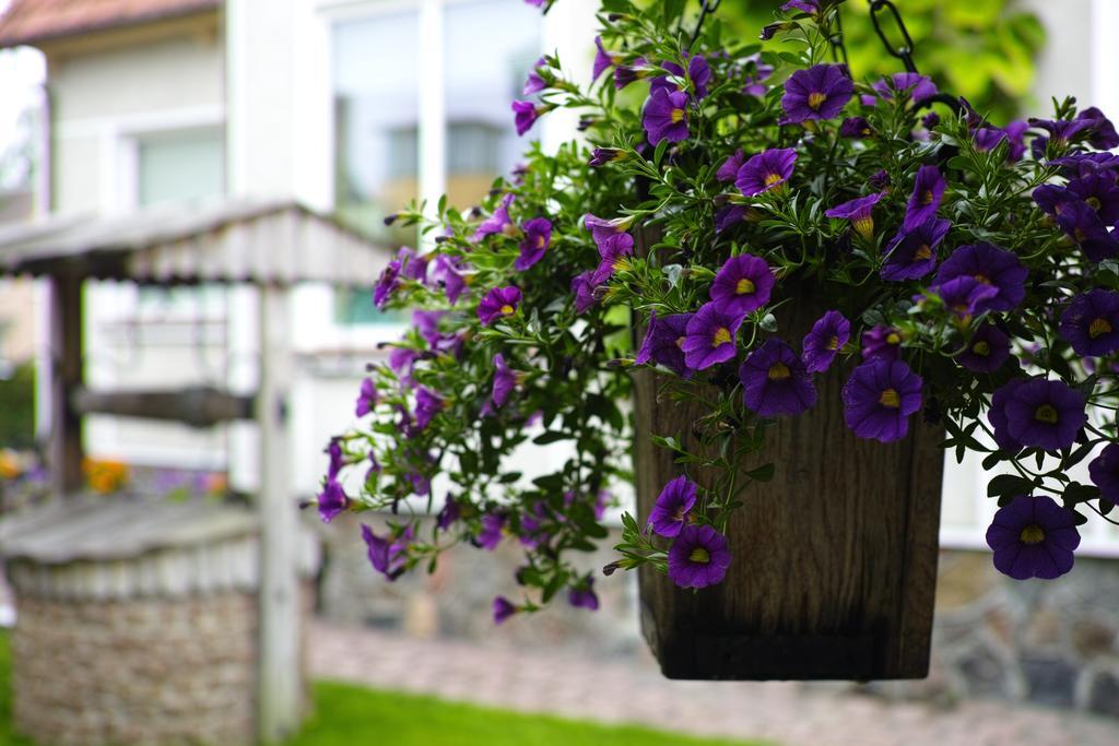 Apartamento Adomo Rojus Palanga Exterior foto